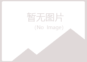 铜官山区如波司法有限公司